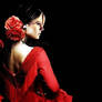 Stana Katic Latino / Flamenco style