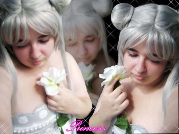 PrincessSerenity New SilverWig