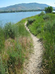 life's path by nightwing6497