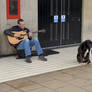 Busker and His Dog, Edinburgh