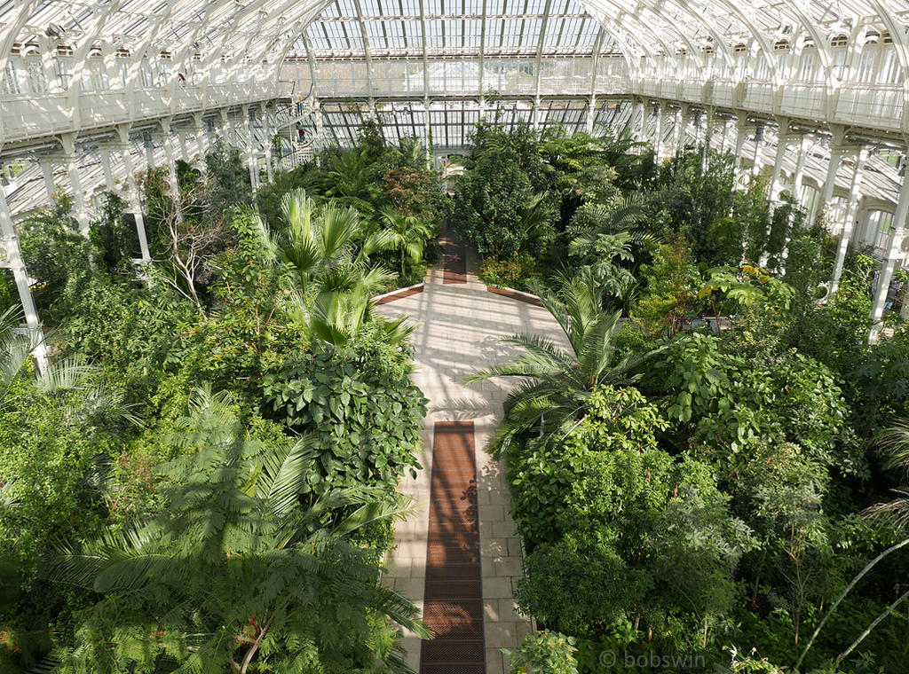 Temperate House at Kew Gardens by bobswin on DeviantArt