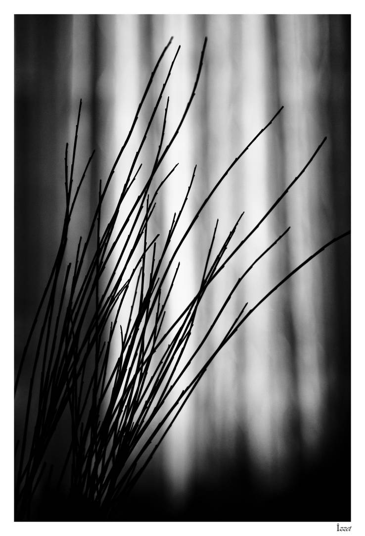 Qualm by nivixx on DeviantArt