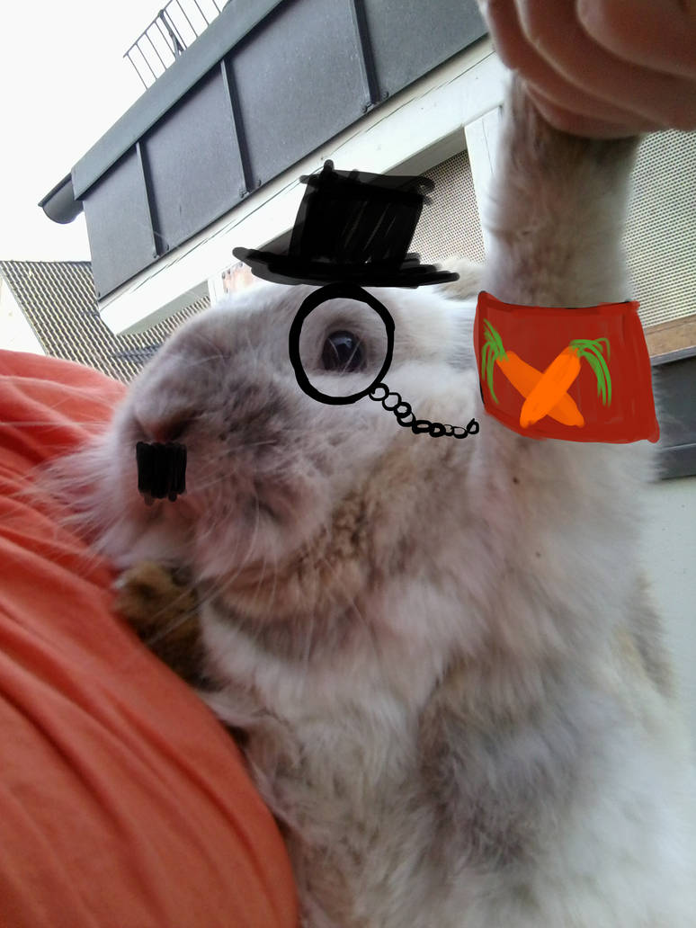 Anarchist Rabbit Like a dictator, ahm, rabbit... by HellmotherEva on DeviantArt