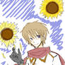 APH russia girasoles