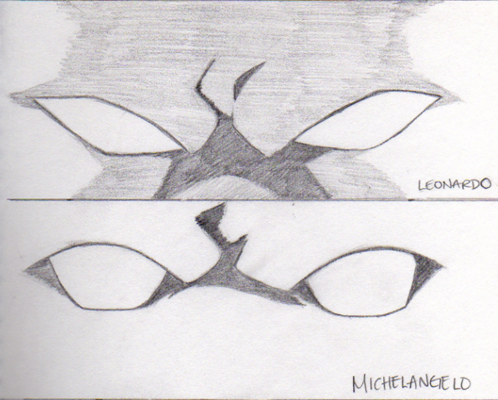 TMNT Leo and Mikey eye study