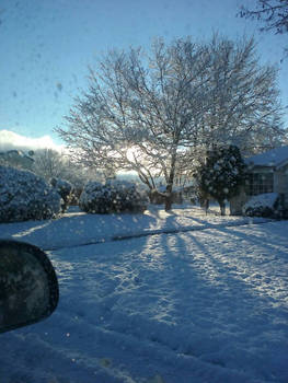 Snow covered yard