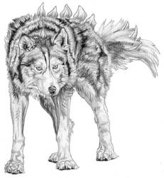 Young Dire Wolf