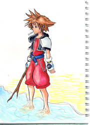 Sora on the Beach