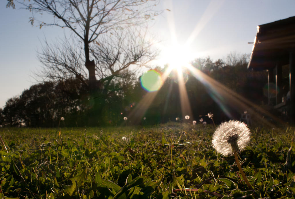 raggi 1 by nower on DeviantArt