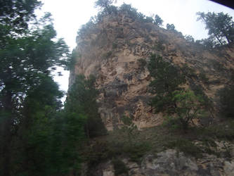 Black hills