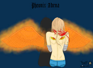 Pheonix Adena