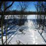 a path in the snow