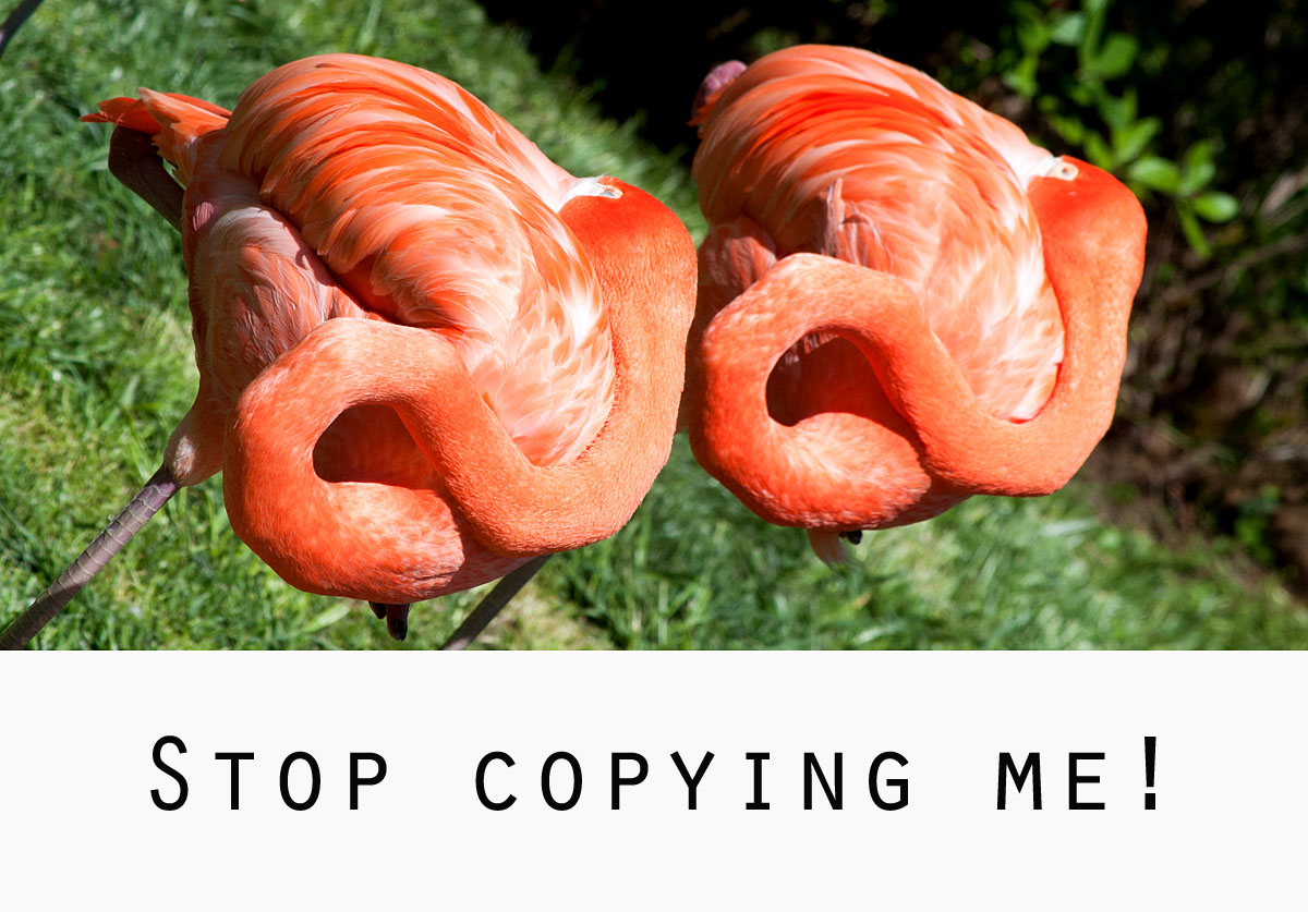 Stop Copying Me!