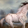 Spotted Horse