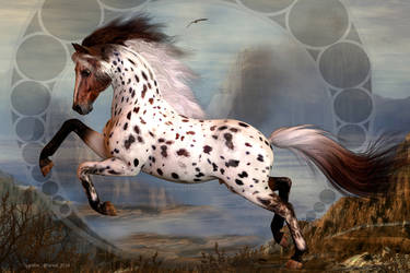 Spotted Horse II
