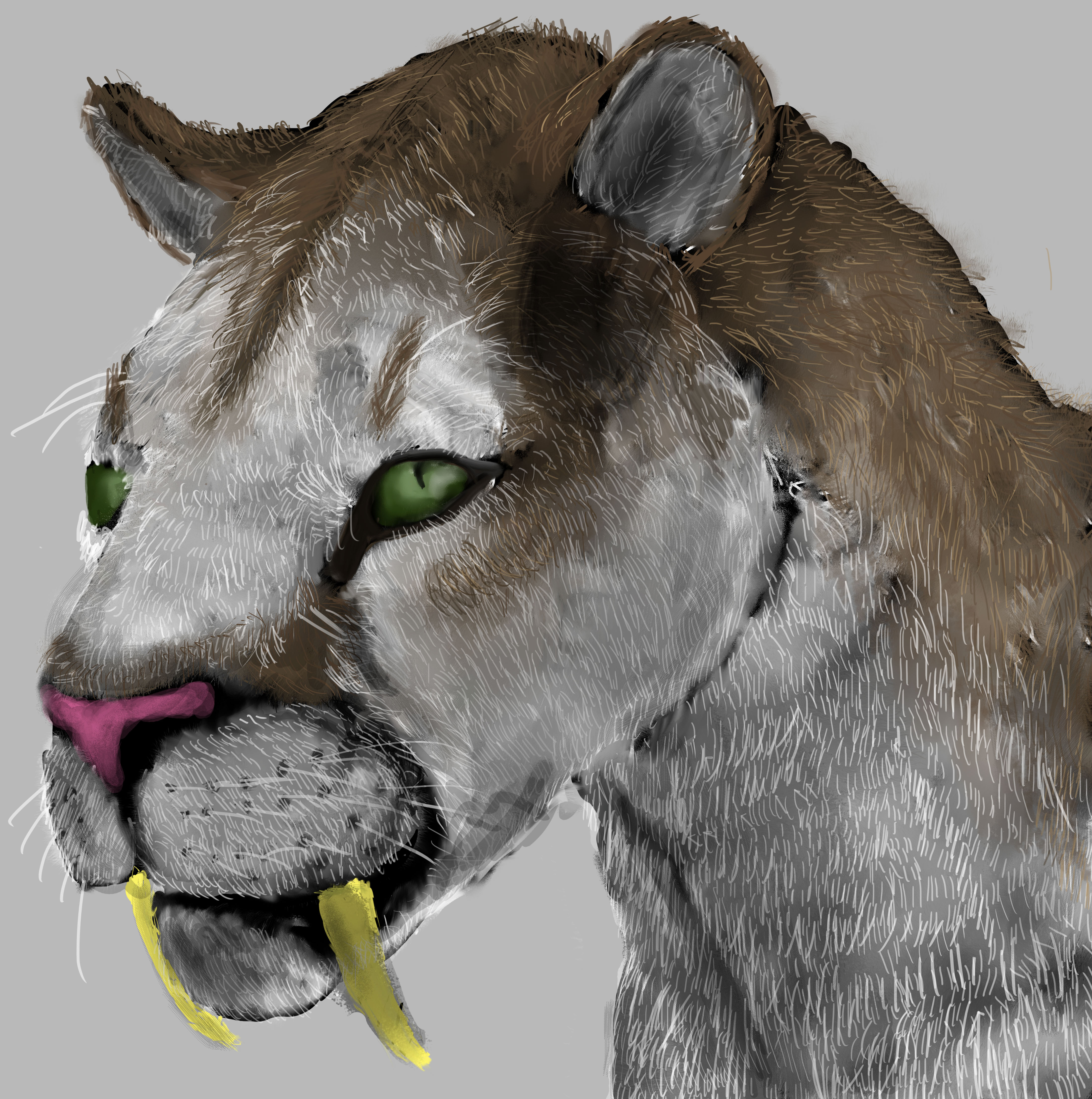 Smilodon