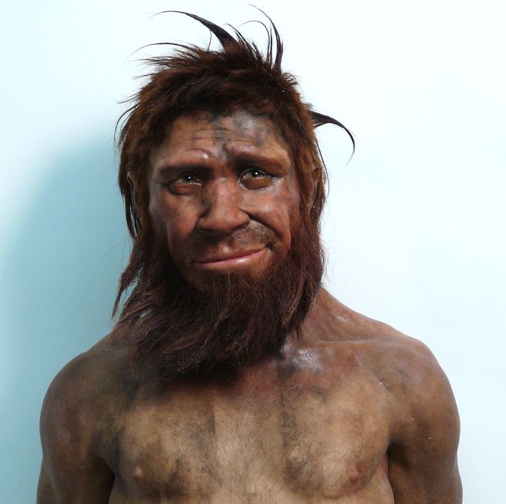 Первобытный мужчина. Хомо сапиенс кроманьонец. Хомо сапиенс неандерталенсис. Неандерталец в полный рост. Древние люди неандертальцы.