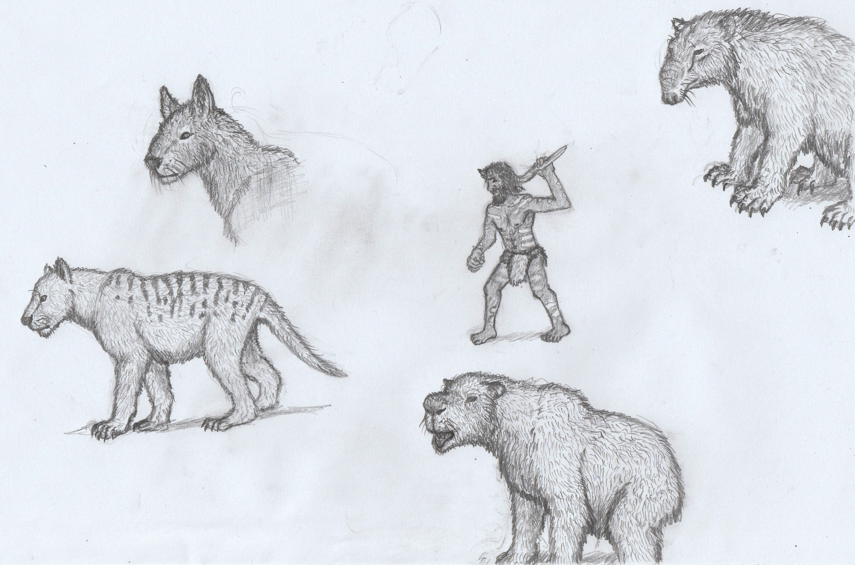 Microfauna Drawing Australian megafauna doodles by AnonymousLlama428 on DeviantArt
