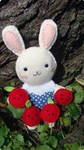Risu goes Apple Pickin' by iPika