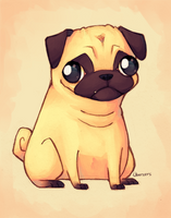 Pug