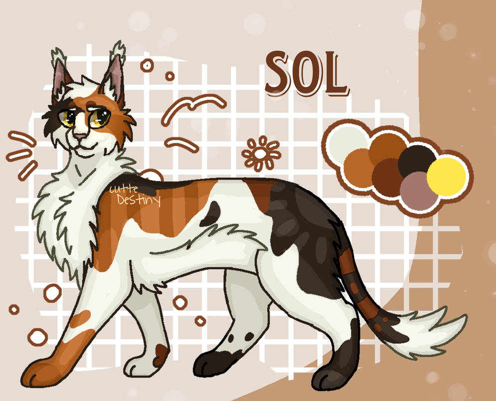 Kittens Sol Sol warrior cats by Cuttedestiny on DeviantArt