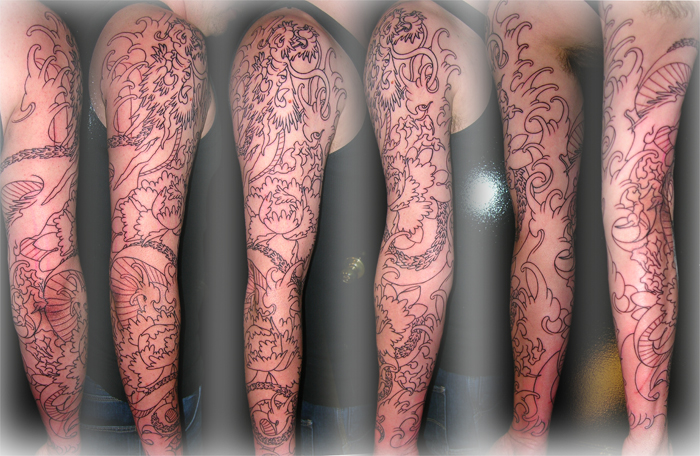 dragon sleeve