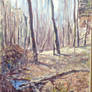 Plein air mountain scene