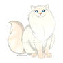 Cream Lynx Point Ragdoll