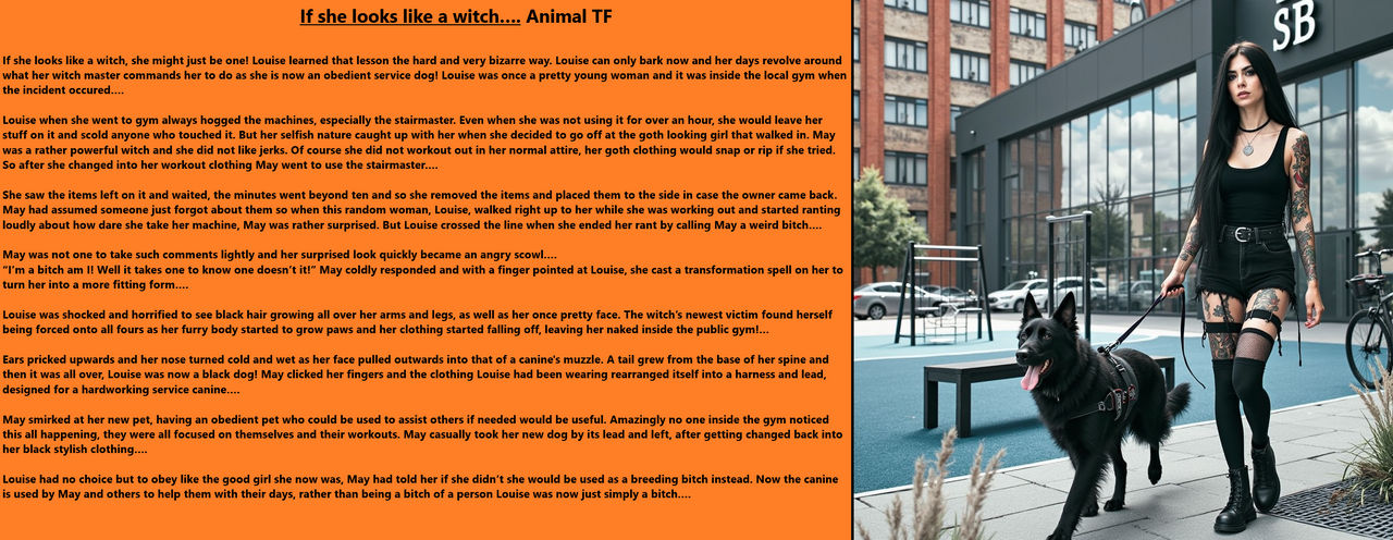 Tf Pic If she looks like a witch.... Animal TF by MMTFCaptions on DeviantArt