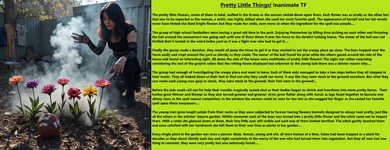 Inanimate Object Transformation Deviantart MMTFCaptions User Profile | DeviantArt