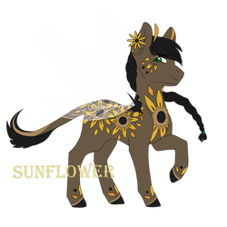 Adopt [CLOSED]: Sunflower Skimmer