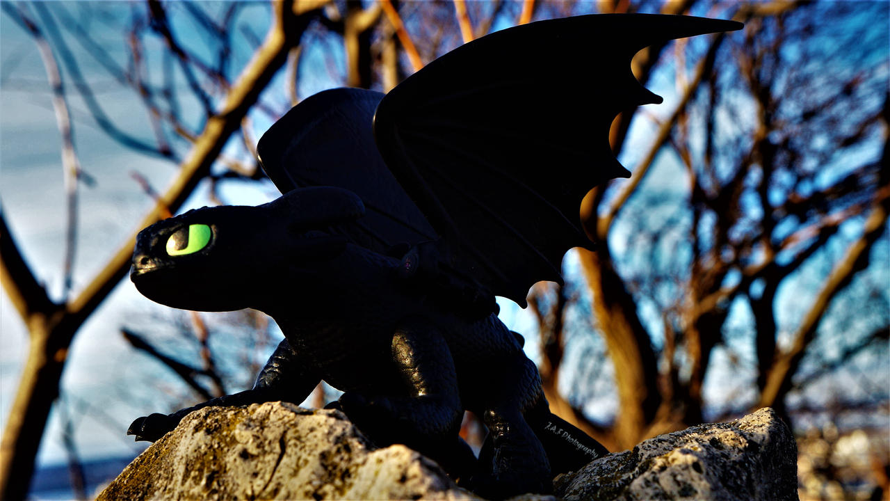 Toothless by JAFPhotography on DeviantArt