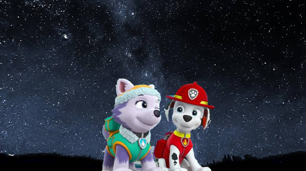 Marshall And Everest's Stroll Under The Stars