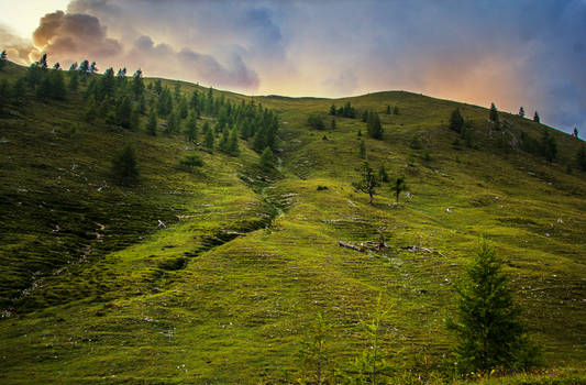 Hillside Green