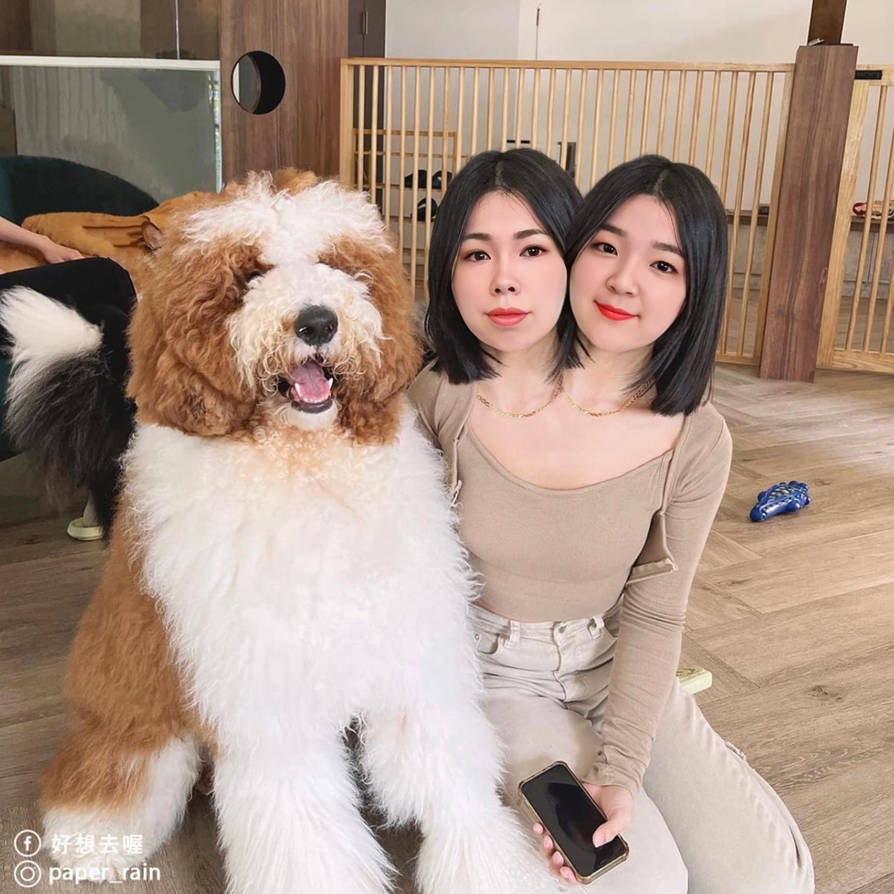 Conjoined girls by a3352324 on DeviantArt