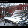 The bench in winter