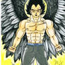 Dark Angel Vegeta