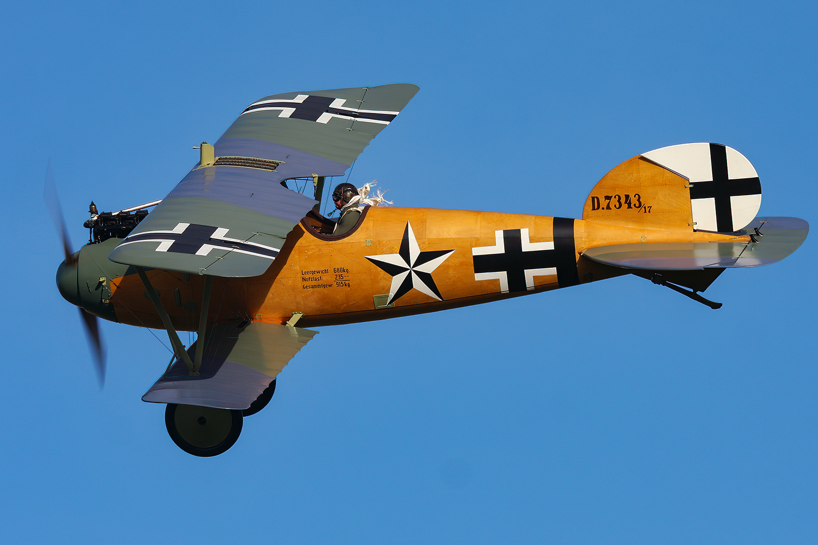 Albatros D.Va (TVAL Reproduction)