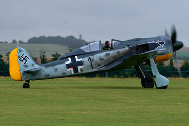 Flug Werk FW-190A-8/N