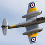 Gloster Meteor T.7