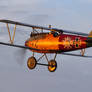 Albatros D.Va (TVAL Reproduction)