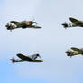 Battle of Britain Memorial Flight