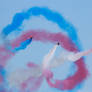 The Red Arrows