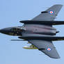 de Havilland Sea Vixen FAW2