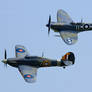 Sea Hurricane and Seafire