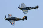 Sea Hurricane and Seafire by Daniel-Wales-Images