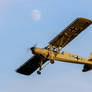 Fieseler Fi-156A-1 Storch