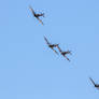 Three Spitfires and a Seafire