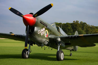 Curtiss P-40M Kittyhawk