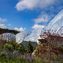 Eden Project